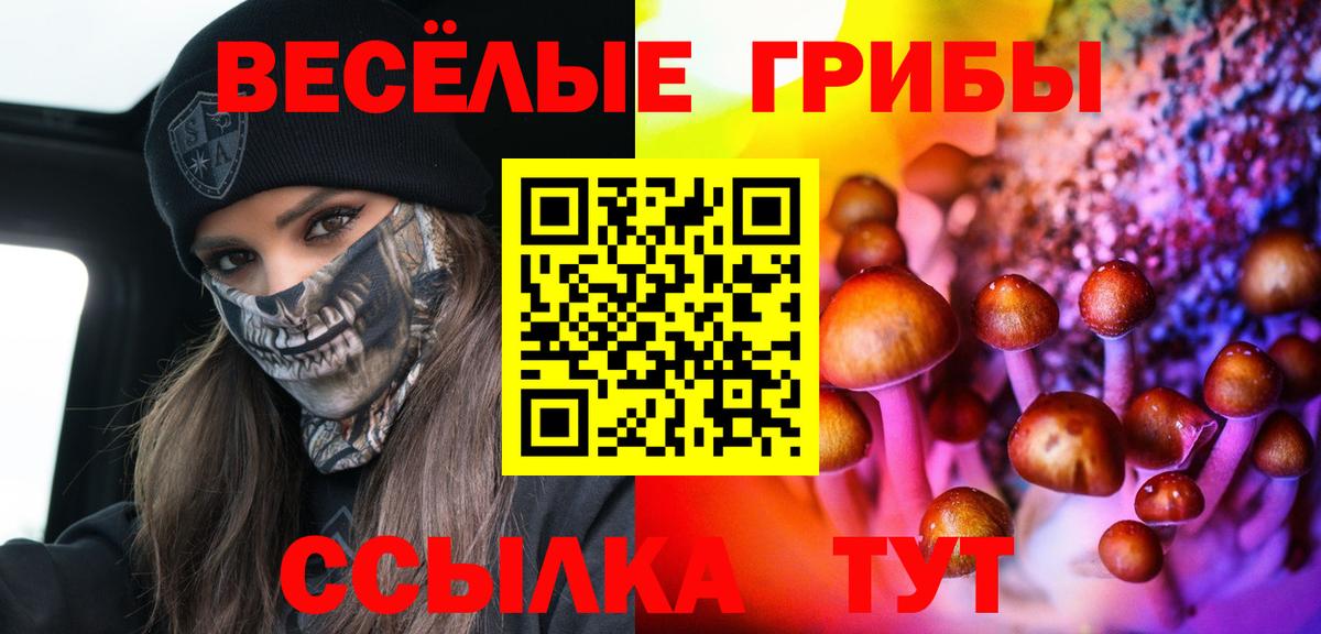 Псилоцибиновые грибы GOLDEN TEACHER Химки