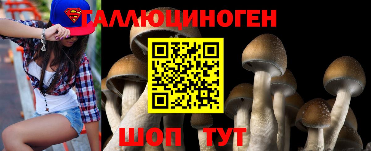 Галлюциногенные грибы мицелий  сколько стоит  Вход с VPN  Химки  Псилоцибиновые грибы Cubensis 